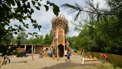 Play area with giant tree climbing tower